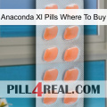 Anaconda Xl Pills Where To Buy 26